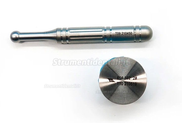 Kit per la raccolta e la macinazione delle ossa dentali, produttore di frammenti ossei con tappo